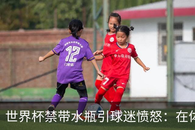 世界杯禁带水瓶引球迷愤怒：在体育场里买？难道更贵就更安全？